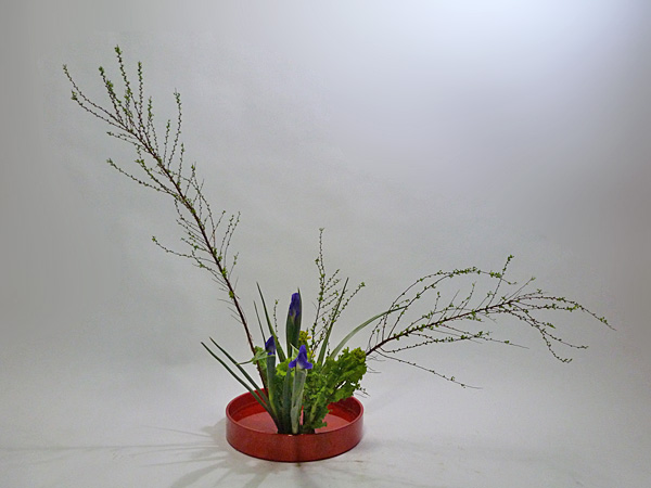 2013年2月14日木曜日、福島県郡山市・菅野草苑（かんのそうえん）教室で学ぶ七海彩夏さんの作品