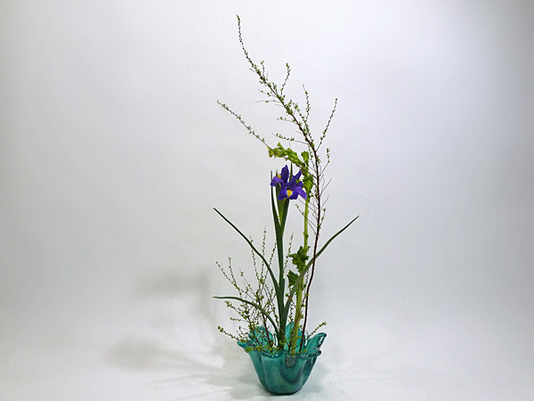 2013年2月11日月曜日、福島県郡山市・菅野草苑（かんのそうえん）教室で学ぶ樋口苑澪さんの作品