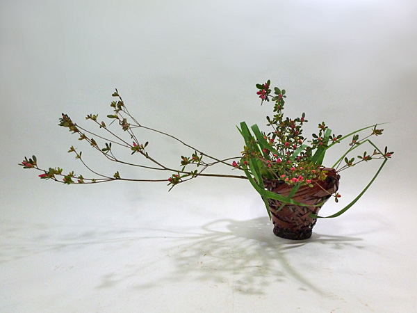 2013年2月25日月曜日、福島県郡山市・菅野草苑（かんのそうえん）教室で学ぶ根本和良さんの作品