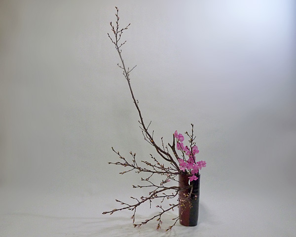 2013年2月5日火曜日、福島県郡山市・菅野草苑（かんのそうえん）教室で学ぶ大河原喜恵さんの作品