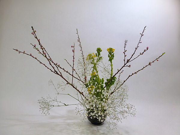 2013年2月22日金曜日、福島県郡山市・菅野草苑（かんのそうえん）さんの作品