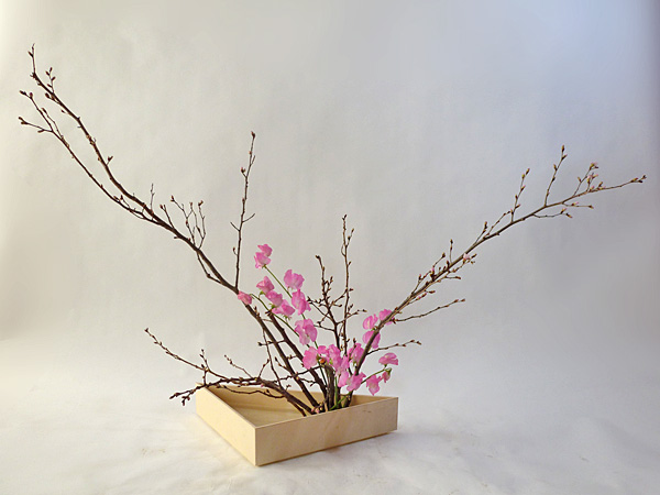 2013年2月4日月曜日、福島県郡山市・菅野草苑（かんのそうえん）教室で学ぶ本間草葵さんの作品