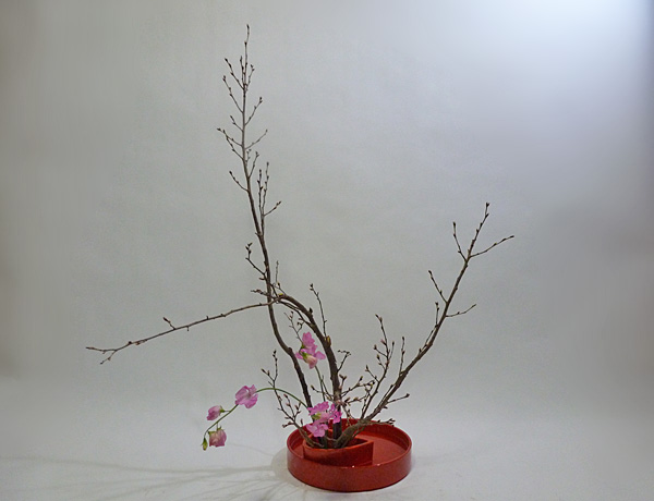 2013年2月7日木曜日、福島県郡山市・菅野草苑（かんのそうえん）教室で学ぶ円谷友子さんの作品