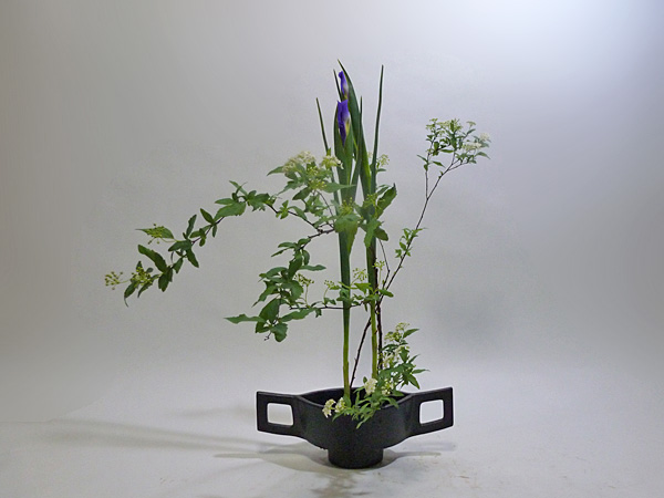 2013年2月20日水曜日、福島県郡山市・菅野草苑（かんのそうえん）教室で学ぶ円谷友子さんの作品