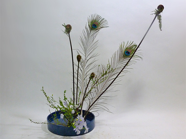 2013年1月24日木曜日、福島県郡山市・菅野草苑（かんのそうえん）教室で学ぶ樋口苑澪さんの作品