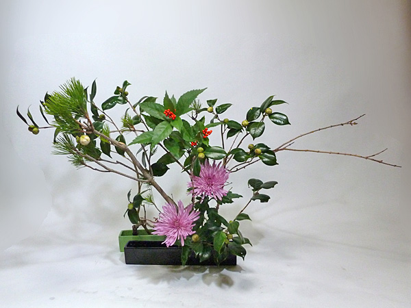 2013年1月14日月曜日、福島県郡山市・菅野草苑（かんのそうえん）教室で学ぶ国分華苑さんの作品