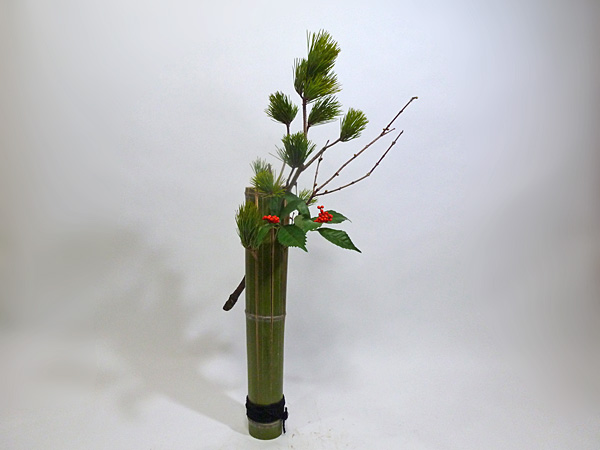 2013年1月15日火曜日、福島県郡山市・菅野草苑（かんのそうえん）教室で学ぶ樋口苑諷（優輝　高３）さんの作品