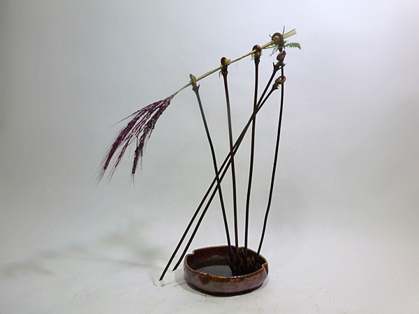 2013年1月28日月曜日、福島県郡山市・菅野草苑（かんのそうえん）教室で学ぶ樋口苑諷（優輝　高３）さんの作品