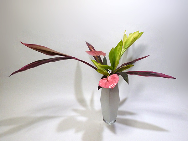 2013年7月15日月曜日、福島県郡山市・菅野草苑（かんのそうえん）教室で学ぶ七海彩夏さんの作品