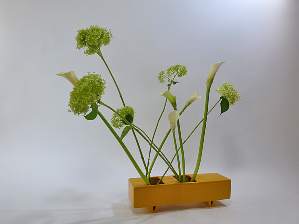 2013年7月18日木曜日、福島県郡山市・菅野草苑（かんのそうえん）教室で学ぶ秋元寛子さんの作品