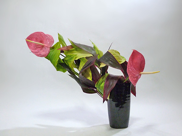 2013年7月16日火曜日、福島県郡山市・菅野草苑（かんのそうえん）教室で学ぶ根本和良さんの作品