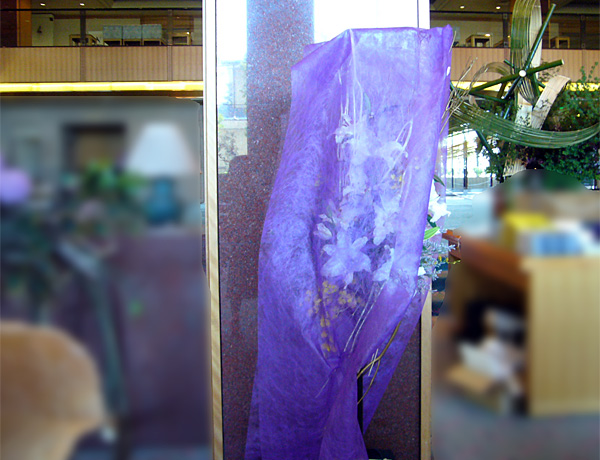 2013年7月2日火曜日、福島県郡山市・大河原喜恵さんの作品