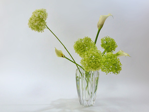 2013年7月19日金曜日、福島県郡山市・菅野草苑（かんのそうえん）教室で学ぶ本間草葵さんの作品