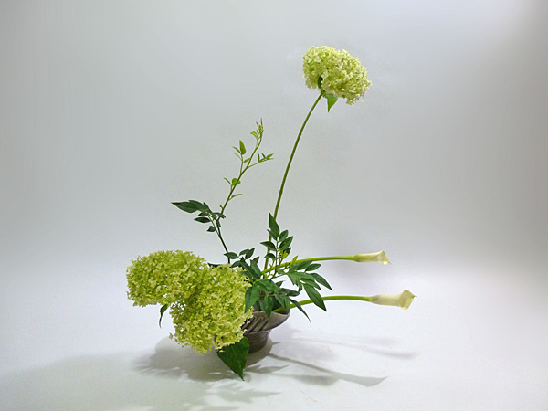 2013年7月25日木曜日、福島県郡山市・菅野草苑（かんのそうえん）教室で学ぶ樋口苑諷さんの作品