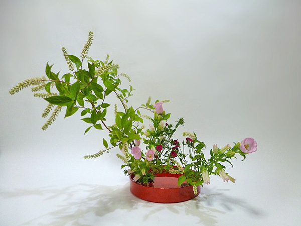 2013年6月12日水曜日、福島県郡山市・菅野草苑（かんのそうえん）教室で学ぶ七海彩夏さんの作品