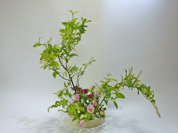 2013年6月10日月曜日、福島県郡山市・菅野草苑（かんのそうえん）教室で学ぶ遠山ハツ子さんの作品