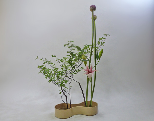 2013年6月13日木曜日、福島県郡山市・菅野草苑（かんのそうえん）教室で学ぶ国分華苑さんの作品