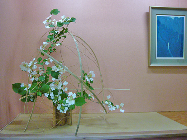 2013年6月3日月曜日、福島県郡山市・菅野草苑（かんのそうえん）さんの作品