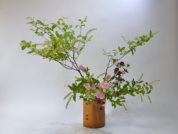 2013年6月14日金曜日、福島県郡山市・菅野草苑（かんのそうえん）さんの作品