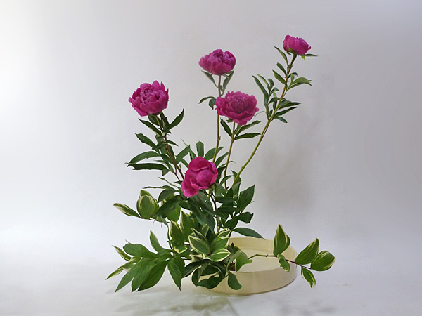 2013年6月20日木曜日、福島県郡山市・菅野草苑（かんのそうえん）教室で学ぶ本間草葵さんの作品