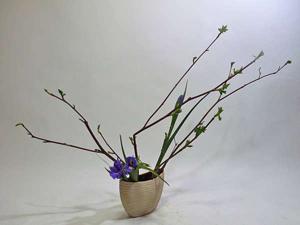 2013年3月26日火曜日、福島県郡山市・菅野草苑（かんのそうえん）教室で学ぶ樋口苑澪さんの作品