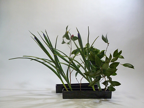 2013年3月25日月曜日、福島県郡山市・菅野草苑（かんのそうえん）教室で学ぶ国分華苑さんの作品