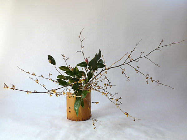 2013年3月22日金曜日、福島県郡山市・菅野草苑（かんのそうえん）さんの作品