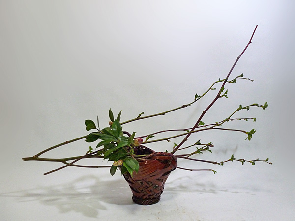 2013年3月27日水曜日、福島県郡山市・菅野草苑（かんのそうえん）教室で学ぶ樋口苑諷（優輝）さんの作品