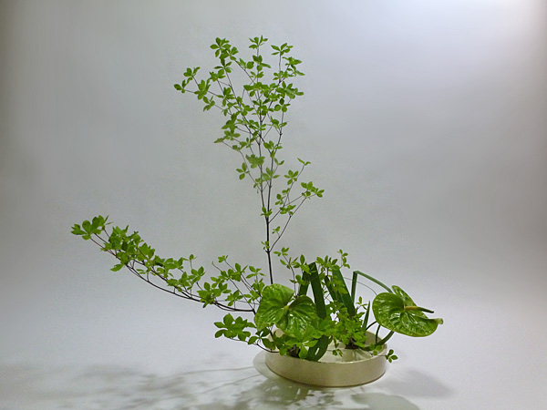 2013年5月29日水曜日、福島県郡山市・菅野草苑（かんのそうえん）教室で学ぶ七海彩夏さんの作品