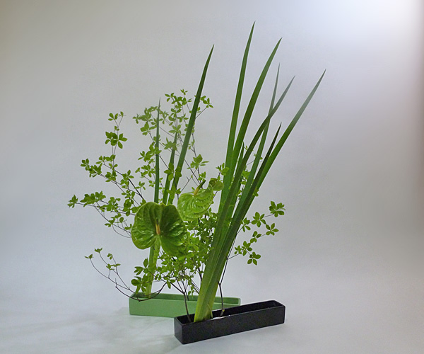 2013年5月28日火曜日、福島県郡山市・菅野草苑（かんのそうえん）教室で学ぶ国分華苑さんの作品