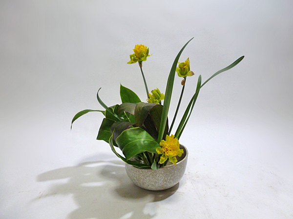 2013年5月3日金曜日、福島県郡山市・菅野草苑（かんのそうえん）教室で学ぶ大河原喜恵さんの作品