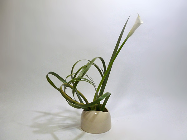 2013年5月15日水曜日、福島県郡山市・菅野草苑（かんのそうえん）教室で学ぶ大河原喜恵さんの作品