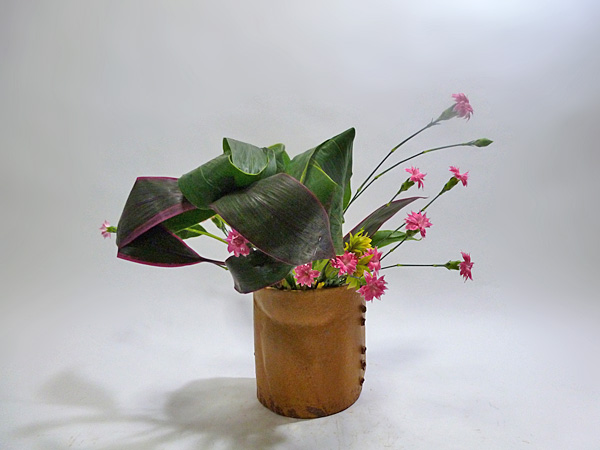 2013年5月10日金曜日、福島県郡山市・菅野草苑（かんのそうえん）さんの作品