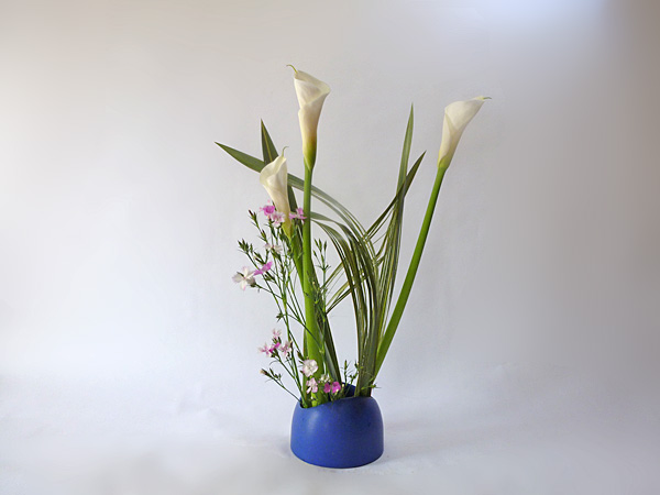 2013年5月20日月曜日、福島県郡山市・菅野草苑（かんのそうえん）さんの作品