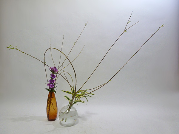 2013年11月20日水曜日、福島県郡山市・菅野草苑（かんのそうえん）教室で学ぶ七海彩夏さんの作品