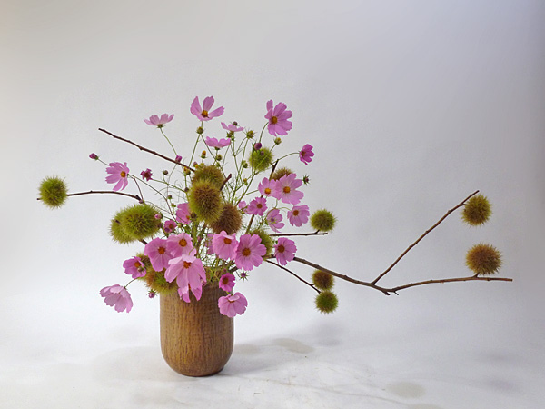 2013年11月11日月曜日、福島県郡山市・菅野草苑（かんのそうえん）さんの作品