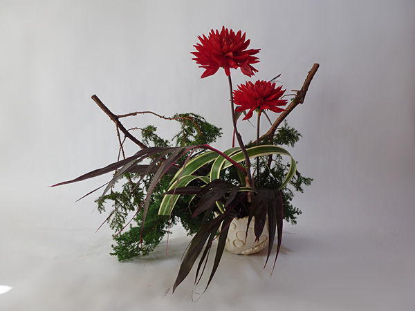 2013年11月22日金曜日、福島県郡山市・菅野草苑（かんのそうえん）さんの作品