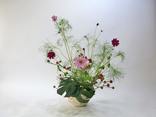 2013年10月4日金曜日、福島県郡山市・菅野草苑（かんのそうえん）さんの作品