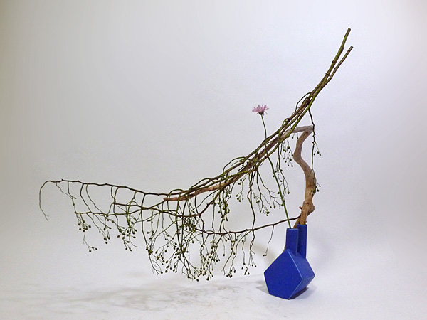 2013年10月10日木曜日、福島県郡山市・菅野草苑（かんのそうえん）教室で学ぶ樋口苑諷さんの作品