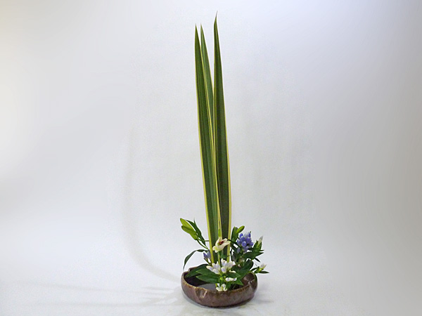 2013年9月19日木曜日、福島県郡山市・菅野草苑（かんのそうえん）教室で学ぶ七海彩夏さんの作品