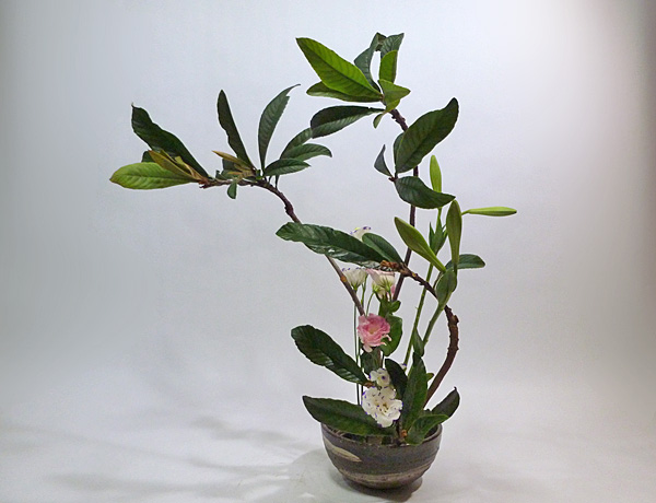 2013年9月11日水曜日、福島県郡山市・菅野草苑（かんのそうえん）教室で学ぶ国分華苑さんの作品