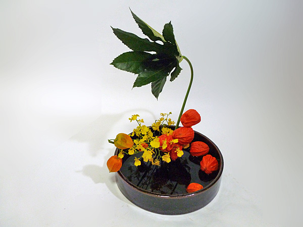 2013年9月17日火曜日、福島県郡山市・菅野草苑（かんのそうえん）教室で学ぶ樋口苑諷さんの作品