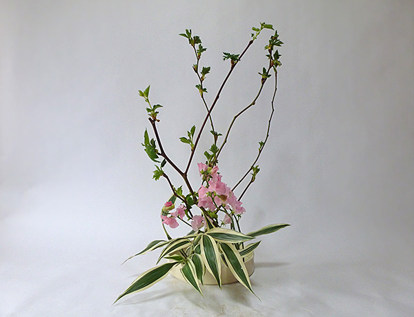 2014年4月30日水曜日、福島県郡山市・菅野草苑（かんのそうえん）教室で学ぶ遠山ハツ子さんの作品