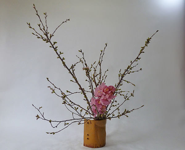 2014年4月25日金曜日、福島県郡山市・菅野草苑（かんのそうえん）教室で学ぶ秋元寛子さんの作品