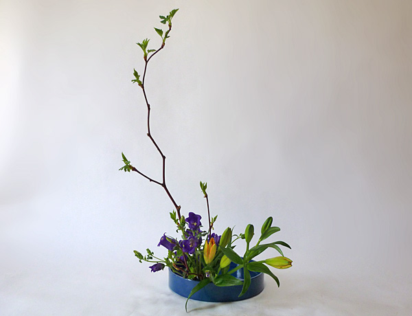 2014年4月22日火曜日、福島県郡山市・菅野草苑（かんのそうえん）教室で学ぶ秋元かなえさんの作品