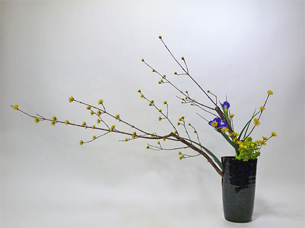 2014年4月9日水曜日、福島県郡山市・菅野草苑（かんのそうえん）教室で学ぶ大河原喜恵さんの作品