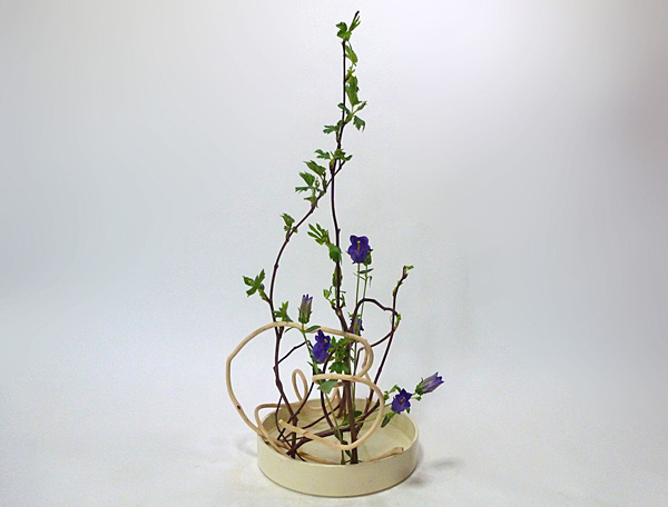 2014年4月23日水曜日、福島県郡山市・菅野草苑（かんのそうえん）教室で学ぶ大河原喜恵さんの作品