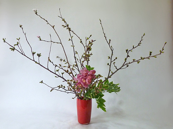 2014年4月18日金曜日、福島県郡山市・菅野草苑（かんのそうえん）さんの作品