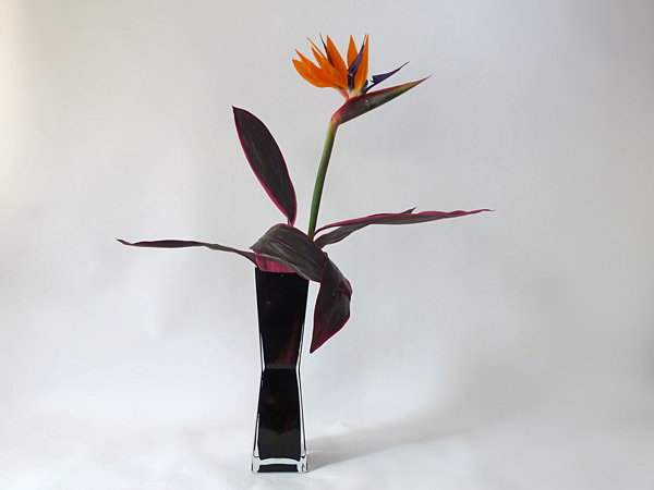 2014年12月9日火曜日、福島県郡山市・菅野草苑（かんのそうえん）教室で学ぶ本間草葵さんの作品