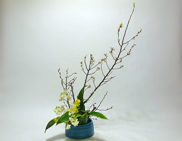 2014年2月6日木曜日、福島県郡山市・菅野草苑（かんのそうえん）教室で学ぶ樋口苑澪さんの作品